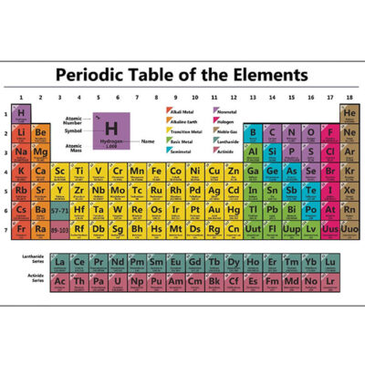 Laboratory Charts | Laminated | Rexine | Educational charts