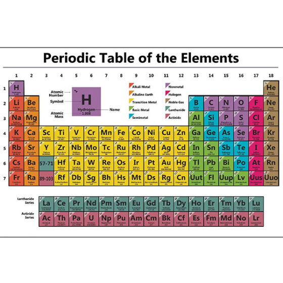 Laboratory Charts Laminated Rexine Educational charts